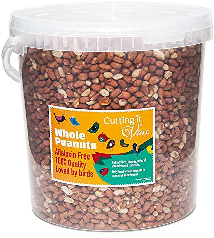 Cutting it Vine Peanuts for Birds (10L Tub), Attract Wild Birds with Finest Grade Peanuts, Year Round Wild Bird Food and Squirrel Food of Choice