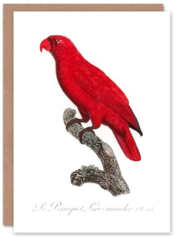 Artery8 Francois Levaillant Art Card The Cardinal Lory Parrot