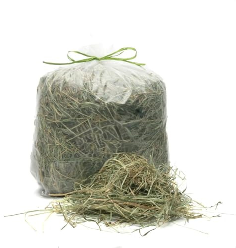 Foin naturel pour lapins, tortues, chevaux, ovins, chèvres, poulains | Foin italien de prairie de Montagne séché au soleil | Nourriture Tous les rongeurs, chevaux, ovins | Qualité Premium (5 Kg)