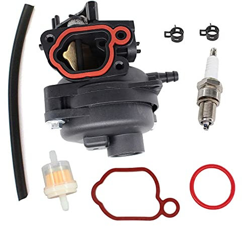 AISEN Vergaser Benzinfilter Benzinschlauch Zündkerze Satz für Briggs & Stratton 799584 594058 550EX 625EX 675EX 140cc Motor