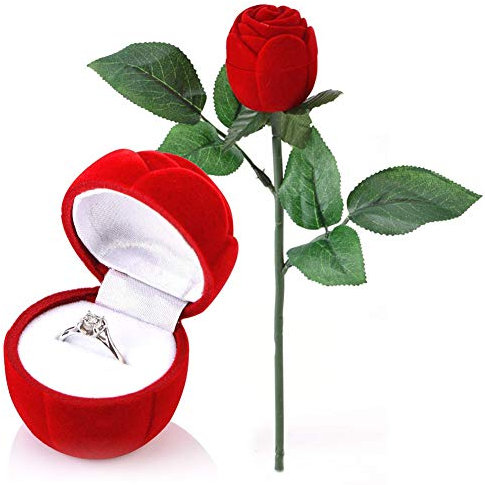 Schmuck Display Box, NALCY Rose Form Halskette Box, Ringschatulle Rose, Samt Ohrring Anhänger Halskette Schmuck Display Aufbewahrungsbox für Hochzeit Ringe Valentinstag Verlobungsring (2 Stück)