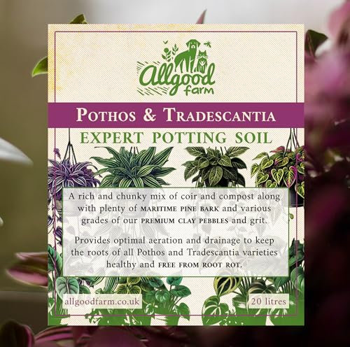 Allgood Farm Pothos & Tradescantia Soil - Expert Potting Soil Mix for Devil's Ivy, Epipremnum, Wandering Dude, Inchplant (1 Litre)