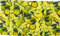 Sander Limone 50 x 140 Tischläufer Yellow