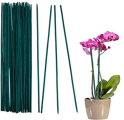 Varillas de Soporte de Plantas, 30 Piezas 12 Pulgadas Palos para Tomateras Estacas de Plantas Estacas para Jardín
