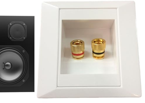 Câble de Haut-Parleur - Murale - Prise de Bouchon Banane, Terminal Audio, de Connexion sécurisée, de Montage Murale compacte Facile à Transporter - Connecteur Jack Durable pour