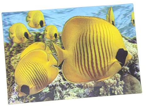 Cornelißen 3D-Postkarte Falterfische, Wackelkarte Hologrammkarte, Ansichtskarte und Grußkarte, Wassertiermotiv, 16 x 10 x 0,2 cm