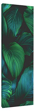 Addictive Sound Akustikpaneele - Akustikplatten und Schallabsorber mit Grafiken - Acoustic Panel Wand - Akustikelemente Bild mit den Maßen 148x50x6 cm - Akustikpaneel Absorber - Nature_2