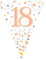 18th Birthday Rose Gold Birthday Party Flag Banner Bunting Age 18