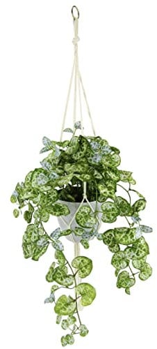 Flair Flower Tradescantiahängeampel mit Topf und Hängeampel Kunstpflanze Tradeskantie hängend Deko Girlande Pflanzenampel Grünpflanze Zimmerpflanze Kletterpflanze Efeuranke Efeu, ca. 80x40x30 cm