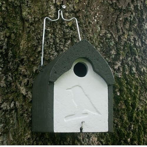 HASSELFELDT Nistkasten Holzbeton für Stare, Gartenrotschwänze & Mittelspecht | Brutkasten für Vögel Wetterfest | Vogelhäuser für draußen | Nisthaus für Vögel Draussen | Vogelhaus Specht