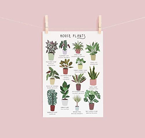 Biopracess House Plant Poster House Plant Plants Poster House Plant Identification Botanical Plant Lady Plant Lover Gift Funny Gift Metal Signs 8x12 inch