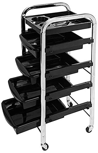 Sanqiao Storage Trolley Hairdresser Cart on wheels, Barber Beauty Hairdressing Trolley Cart with 5 Drawers for Salon Spa, Silver