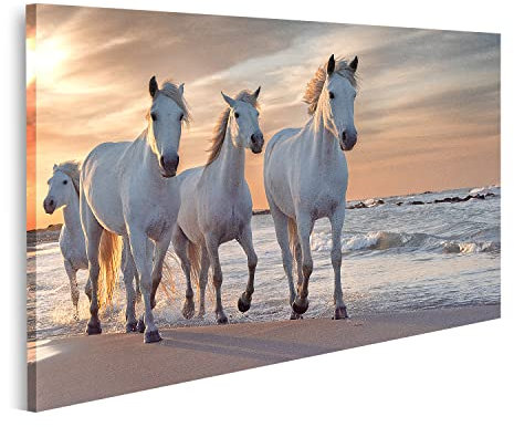 islandburner Tableau sur toile Chevaux blancs Camargue France Branco Peintures Impressions pour salon bureau