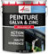 Peinture galva et zinc, toiture, gouttière - 2.5 L Noir Mat - RAL 9005 - ARCANE INDUSTRIES