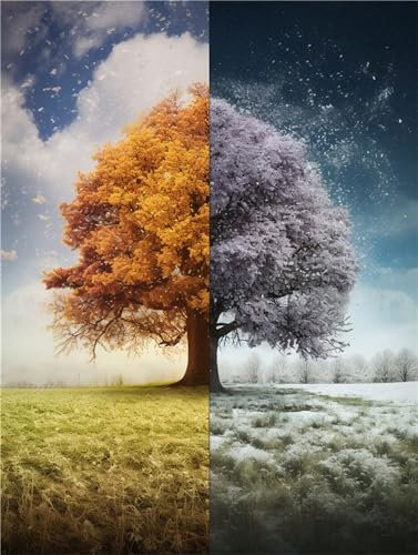 Malen nach Zahlen Erwachsene Baum DIY Ölmalerei Jahreszeit Malen nach Zahlen Kinder Kits, auf Leinwand Acrylmalerei Nach Zahlen mit Pinseln Leinwand, Zimmer Deko Wohnzimmer Gifts,50x70cm (Rahmenlos)