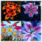 Lilium martagon zwiebeln,Winterharte mehrjährig,Dekorative Blumen,lilien Deko,lilie Riesen,Lilien im topf,Lilie,duft lilien,lilien knollen,lilien zwiebeln winterhart.-4 zwiebeln-A