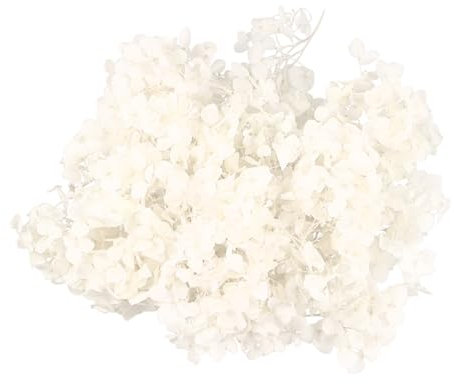 GALPADA 1 Paquete Flor preservada Flores Flor de Hortensia eterna Petalo de Flor pétalos de Hortensia Decoracion Floral Blanco