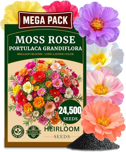 TLSSCO 24500+ Moss Rose Seeds, Pack for 2026 USA Premium Non-GMO Flower Seeds Annual Flower for Ground Cover - Heat & Drought Tolerant Moss-Rose Purslane, Eleven O'clock