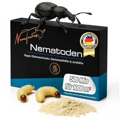 Nematoden gegen Dickmaulrüssler Larven biologische Schädlingsbekämpfung bei Larven und Engerlingen schädlicher Käfer (500 mio für 1000 m²)