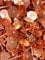 Copper Disc Rivets 20mm Long x 0.4mm Thick Slate Roof Pin Rivet Slate Roof Pin Rivet Disc Cement Roof Slate Pack of 20 Rivets