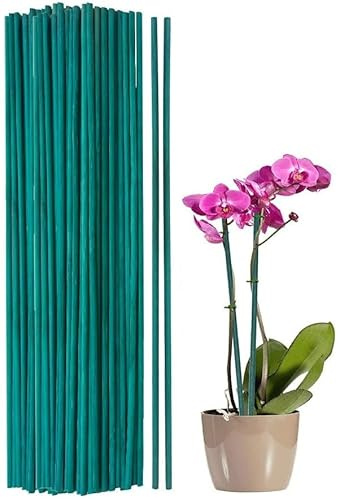 Pack of 50 Green Flower Sticks Bamboo Split Canes Plant Support Stakes (12 - 30cm Long)