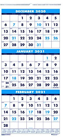 House of Doolittle Wandkalender 2021, Dreimonat, vertikal, 12,25 x 26 Zoll, Dezember - Januar (HOD3640-21), weiß