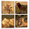CHDITB 4 Stück,40 * 40cm,Löwe Wandbilder Leinwand,Löwen und Löwin Familie Bilder,Wilde Tiere Wandbild,Löwenjunge WandKunst Poster,Modern Wildtier Poster für Wohnzimmer Schlafzimmer Büro Dekorations