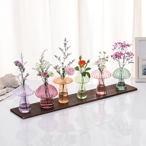 Mushroom Flower Vase, Cute Colored plant Propagation Stations Set of 6, Mini Terrarium for Plants,Unique Small Hydroponic Pots for Indoor Plants, Glass Decor Vase Gifts for Women