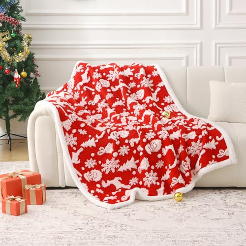 DREAMLANDING Sherpa-Fleecedecke, Sofaüberwurf, doppelseitig, superweich, warm, Überwurfdecke für Bett, Sofa, Couch (Weihnachtsrot, 130 x 150 cm)