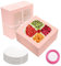 GUIFIER 10 Pezzi Scatole per Torte da 25,4 cm Con Vassoio e Nastro Rosa Con Finestra, Scatola da Forno di Carta, Porta Torte, Scatole Regalo per Pasticceria, Dessert (Rosa)