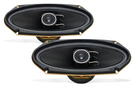 Pioneer(R) 4 X 10 2-Way Speakers
