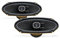 Pioneer(R) 4 X 10 2-Way Speakers