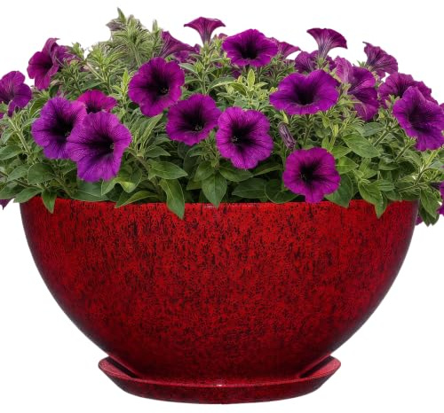 Classic Home and Garden Rosie Moderner Übertopf mit Drainage, zeitgenössische Pflanzschalen, Flache runde Vasen für kleine Pflanzen, vielseitige Töpfe für drinnen und draußen, 25,4 cm, Lavarot