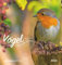 Vögel in unserem Garten 2026 - Postkartenkalender 16x17 cm