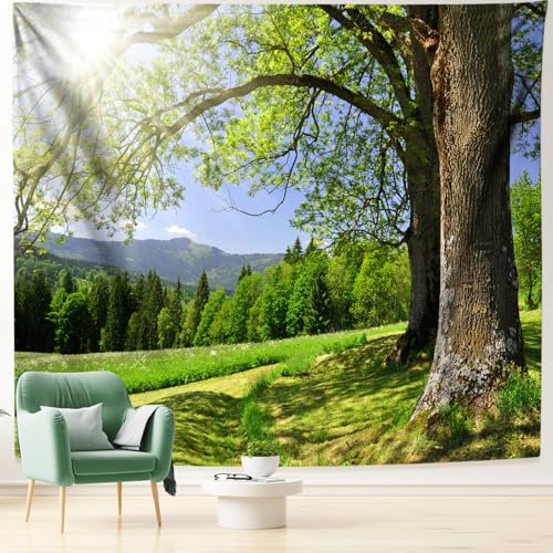 Dsnyu Wandteppich xxl Landschaft, Wandbehang 300x260 Bäume Sonnenschein | Grün Wandtuch Natur Polyester Wanddeko Schlafzimmer Über Bett