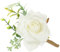 Cabilock Handgelenk Brautjungfer Perlencorsage Blumenbrosche des Bräutigams Ornament simulierte Blumenkorsagen Ginster künstliche Blumenkorsagen Hochzeitskleid weiße Rose Besen