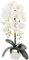 TreesHouse Premium Orchideen Künstlich XL 60cm I Künstliche Orchideen wie Echt I Blumen Deko I Künstliche Orchidee im Topf I Hergestellt in der EU I 2 Stängel - 18 Blüten, Weiß (Silberner Blumentopf)