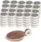 Neodym Magnet Mini Ringmagnete Mit Loch Starker Bohrung 2mm Ringmagnet 6mm x 2mm Scheiben Magnete - Flach Rund - N45 Stark (100)