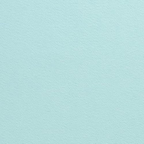 Filz Bastelfilz 3 mm Dick / 90 cm Breit 0,25 cm Taschenfilz Meterware 26 Farben (Minze-22)