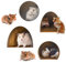OLYCRAFT Hamster Thema Wandaufkleber Hamster Wandaufkleber Hamster PVC Wanddekoration Aufkleber Tier Zartes Design Für Wohnzimmer Schlafzimmer Tier 120x420mm