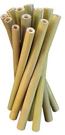 Lot de 10 pailles en bambou naturel réutilisables de 20,3 cm - Pailles droites en bambou naturel biodégradables - Alternative aux pailles en plastique avec brosses en nylon