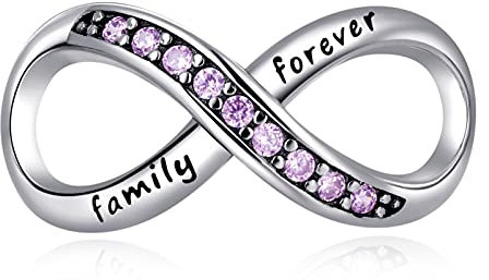 Rimgoris 925 Sterling Silber Charme für Frauen Armbänder Halskette für immer Familie Unendlichkeit Herz baumeln Charm Geschenk