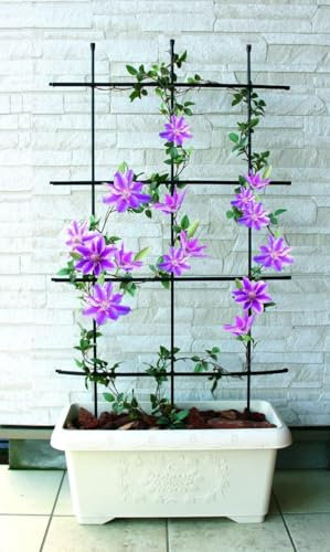 TrendLine Rankgitter 120 cm Spaliere