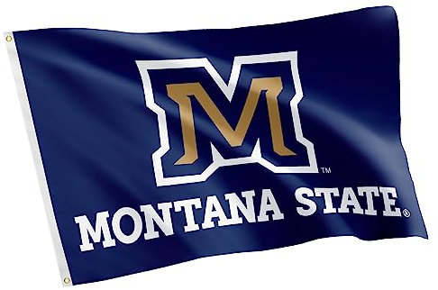 Desert Cactus Montana State University MSU Flagge, 90 x 150 cm, Bobcats-Banner, für drinnen und draußen, strapazierfähiger Stoff, 100 % Polyester-Design (Stil Z)