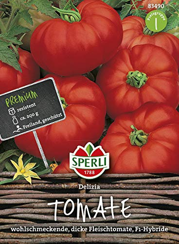 Sperli 83490 Tomate Delizia F1-Hybride (Tomatensamen)