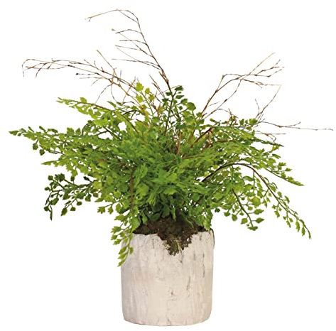 Blooming Artificial - Artificial Fern in Pot for the House, Maidenhair Fern, Year-Round Decorative Foliage for the Home and Office, Charming and Colourful (Green) (30cm)