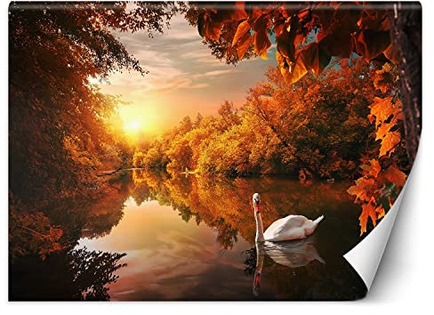 Feeby Fototapete XXL Herbst Sonnenuntergang Wald Bäume 400x280 cm Orange Vliestapete Moderne Design Wandtapete Küche Flur Wohnzimmer Büro Badezimmer Kinderzimmer Schwan See Natur
