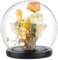 PH PandaHall 15cm Glas-Display-Kuppel-Cloche Glasglocke mit schwarzem Holzsockel Dekorative Gläser Cloche für Blume Lagerung Haus Weihnachten Party Favorit Dekoration