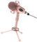 KONTONTY Undproof Mic Set Stand Microphone Mic Arm for Desktop Lightweight Gaming Streaming Microphone Accessory