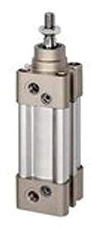 RIEGLER 16.DMD.40075 Serie SAI Normzylinder, Doppeltwirkend, 40mm Kolben-Ø, 75mm Hub, G 1/4 Anschluss